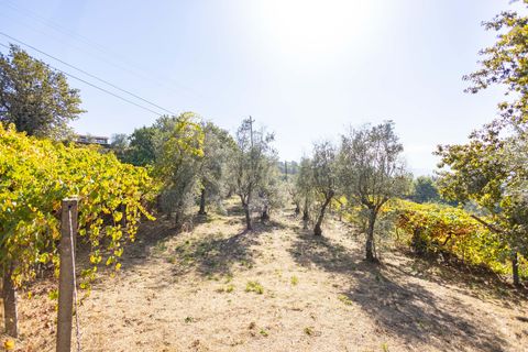 Masia a Grilo, Porto, Grilo - € 96.000 | Ref: C0471-00375 - foto 25