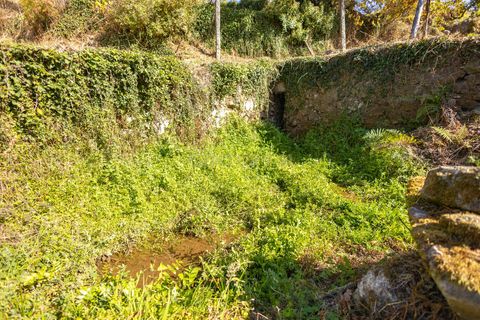 Masia a Grilo, Porto, Grilo - € 96.000 | Ref: C0471-00375 - foto 26