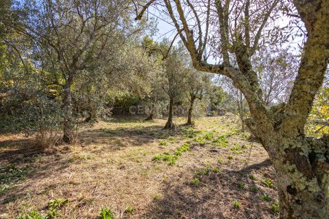 Masia a Grilo, Porto, Grilo - € 96.000 | Ref: C0471-00375 - foto 27