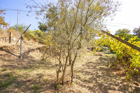 Masia a Grilo, Porto, Grilo - € 96.000 | Ref: C0471-00375 - foto 29