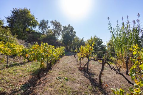 Masia a Grilo, Porto, Grilo - € 96.000 | Ref: C0471-00375 - foto 30