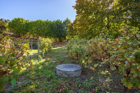 Masia a Grilo, Porto, Grilo - € 96.000 | Ref: C0471-00375 - foto 31
