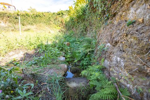 Masia a Grilo, Porto, Grilo - € 96.000 | Ref: C0471-00375 - foto 33