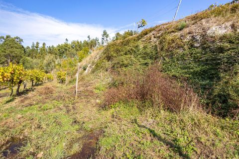 Masia a Grilo, Porto, Grilo - € 96.000 | Ref: C0471-00375 - foto 34