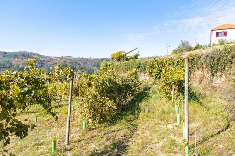 Masia a Grilo, Porto, Grilo - € 96.000 | Ref: C0471-00375 - foto 35