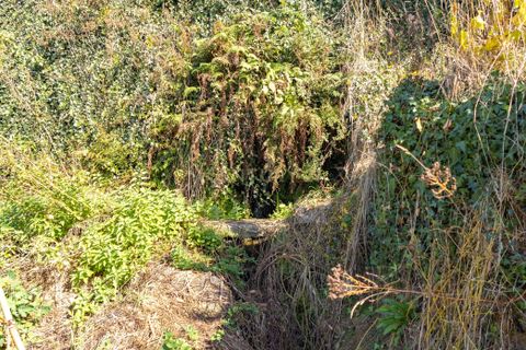 Masia a Grilo, Porto, Grilo - € 96.000 | Ref: C0471-00375 - foto 36
