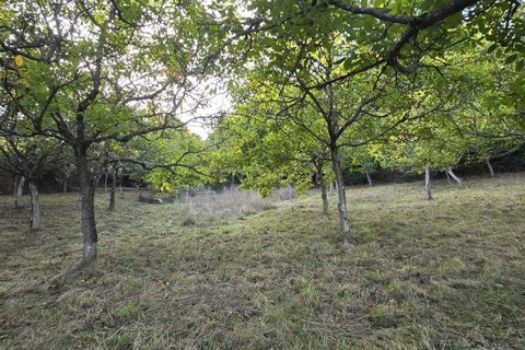 Terra a Viariz, Porto, Viariz - € 30.000 | Ref: C0471-00376 - foto 2