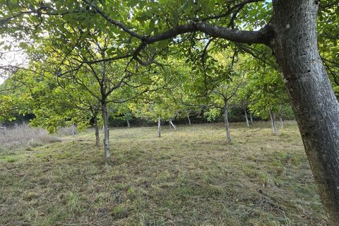 Terra a Viariz, Porto, Viariz - € 30.000 | Ref: C0471-00376 - foto 3