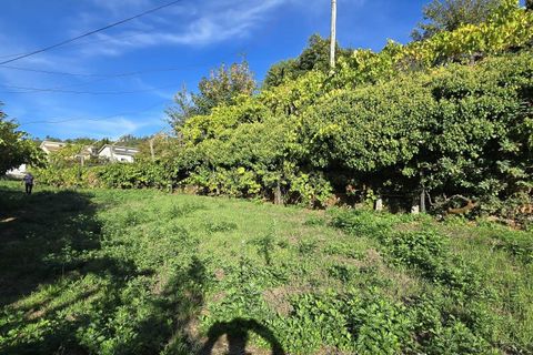 Helårsgrund i Gestaco, Porto, Gestaco - € 90.000 | Ref: C0471-00379 - foto 2
