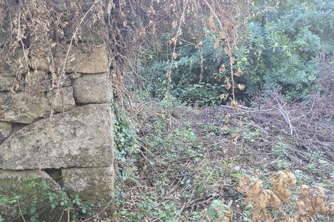 Helårsgrund i Gestaco, Porto, Gestaco - € 90.000 | Ref: C0471-00379 - foto 11