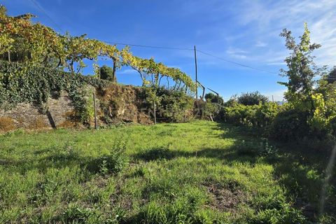 Helårsgrund i Gestaco, Porto, Gestaco - € 90.000 | Ref: C0471-00379 - foto 13