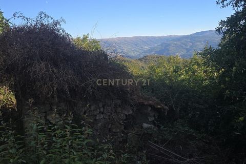 Helårsgrund i Gestaco, Porto, Gestaco - € 90.000 | Ref: C0471-00379 - foto 15