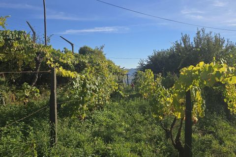 Helårsgrund i Gestaco, Porto, Gestaco - € 90.000 | Ref: C0471-00379 - foto 16