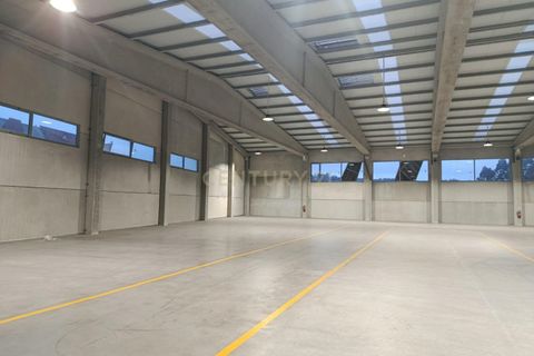 Erhvervsejendom i Paredes, Porto, Paredes - € 1.460.000 | Ref: C0471-00406 - foto 5