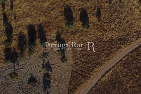 Helårsgrund i Evora, Evora, Evora - € 200.000 | Ref: JF871 - foto 3