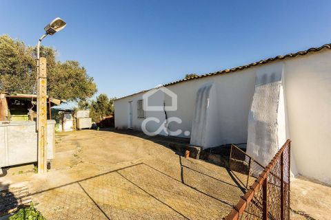 Helårsgrund i Evora, Evora, Evora - € 650.000 | Ref: 318/T/03767 - foto 10