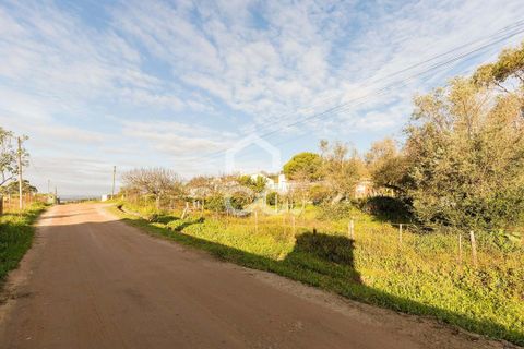 Helårsgrund i Evora, Evora, Evora - € 650.000 | Ref: 318/T/03767 - foto 16