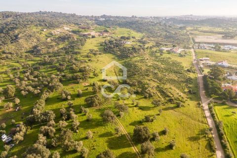 Helårsgrund i Evora, Evora, Evora - € 650.000 | Ref: 318/T/03767 - foto 31