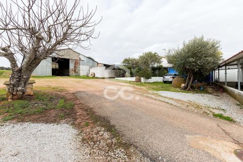 Farm hus i Evora, Evora, Evora - € 699.000 | Ref: 318/Q/03768 - foto 43