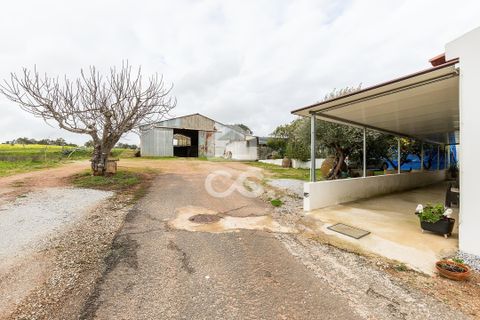 Farm hus i Evora, Evora, Evora - € 699.000 | Ref: 318/Q/03768 - foto 44