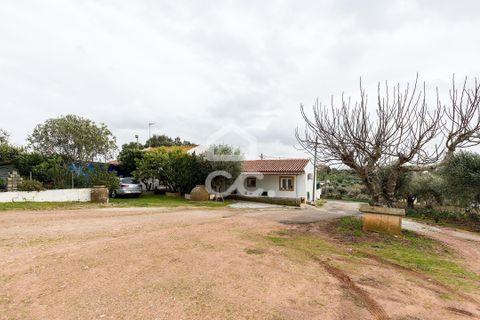 Farm hus i Evora, Evora, Evora - € 699.000 | Ref: 318/Q/03768 - foto 46