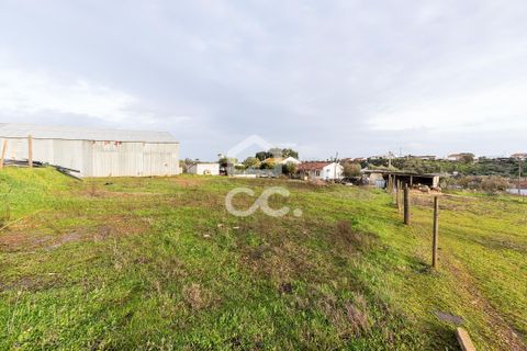 Farm hus i Evora, Evora, Evora - € 699.000 | Ref: 318/Q/03768 - foto 49