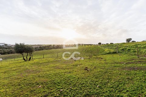 Farm hus i Evora, Evora, Evora - € 699.000 | Ref: 318/Q/03768 - foto 50