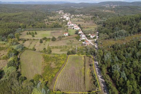 Helårsgrund i Lousa, Coimbra, Lousa - € 37.000 | Ref: C0289-01330 - foto 2