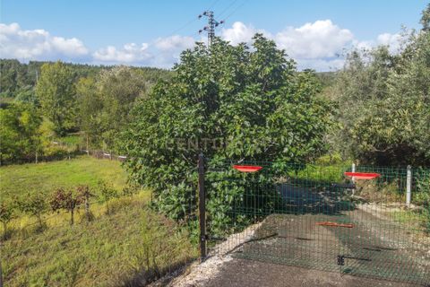 Helårsgrund i Lousa, Coimbra, Lousa - € 37.000 | Ref: C0289-01330 - foto 4