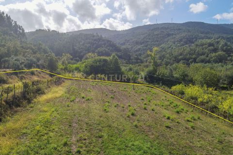 Helårsgrund i Lousa, Coimbra, Lousa - € 37.000 | Ref: C0289-01330 - foto 5