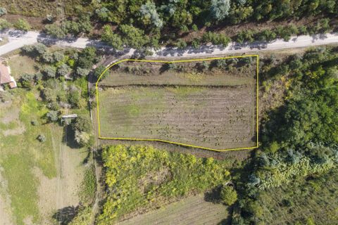 Helårsgrund i Lousa, Coimbra, Lousa - € 37.000 | Ref: C0289-01330 - foto 7