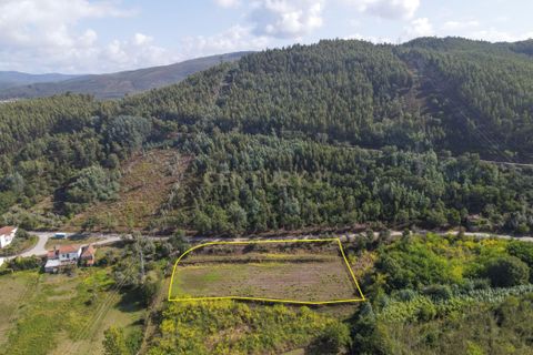 Helårsgrund i Lousa, Coimbra, Lousa - € 37.000 | Ref: C0289-01330 - foto 8