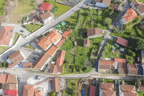 Villa a Miranda do Corvo, Coimbra, Miranda do Corvo - € 14.500 | Ref: C0289-01724 - foto 5