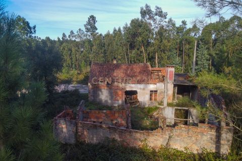 Villa i Lousa, Coimbra, Lousa - € 36.000 | Ref: C0289-01619 - foto 4