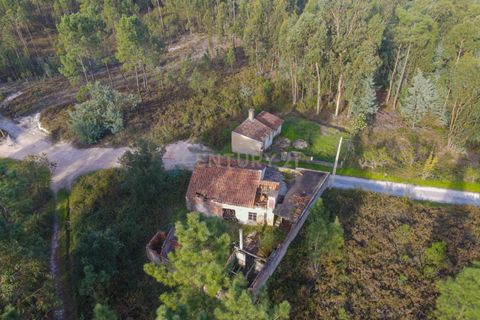 Villa i Lousa, Coimbra, Lousa - € 36.000 | Ref: C0289-01619 - foto 6