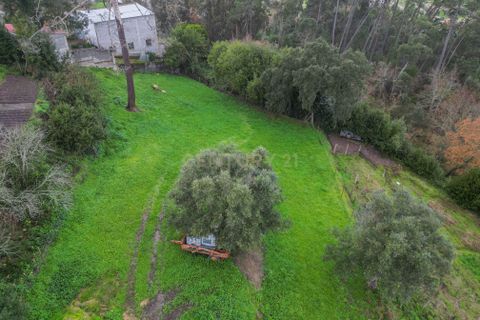 Villa i Gesteira e Brunhos, Coimbra, Gesteira e Brunhos - € 60.000 | Ref: C0372-01777 - foto 24