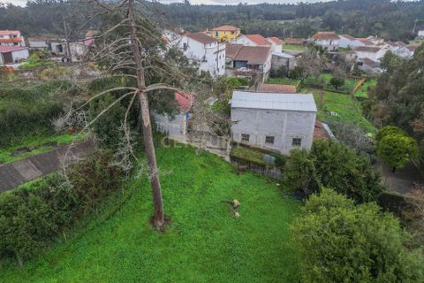Villa i Gesteira e Brunhos, Coimbra, Gesteira e Brunhos - € 60.000 | Ref: C0372-01777 - foto 25
