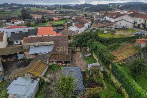 Villa i Gesteira e Brunhos, Coimbra, Gesteira e Brunhos - € 60.000 | Ref: C0372-01777 - foto 29