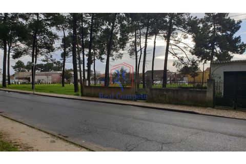 Helårsgrund i Quinta do Conde, Setubal, Quinta do Conde - € 119.500 | Ref: 1654 - foto 1