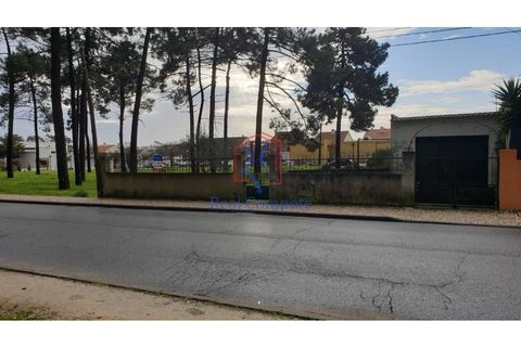 Helårsgrund i Quinta do Conde, Setubal, Quinta do Conde - € 119.500 | Ref: 1654 - foto 4