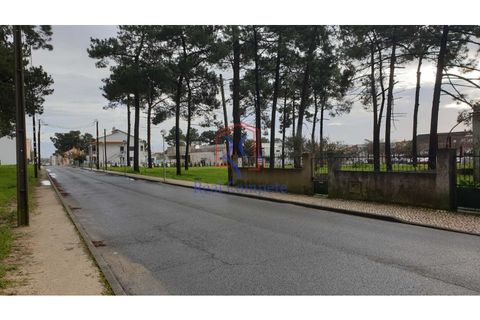 Helårsgrund i Quinta do Conde, Setubal, Quinta do Conde - € 119.500 | Ref: 1654 - foto 6