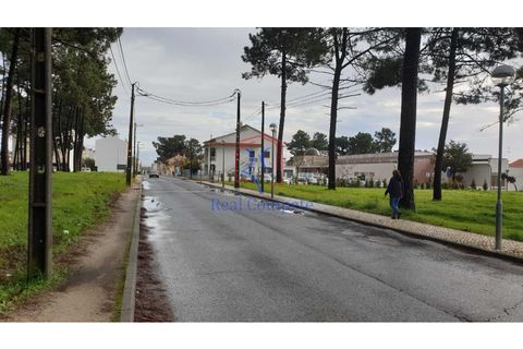 Helårsgrund i Quinta do Conde, Setubal, Quinta do Conde - € 119.500 | Ref: 1654 - foto 8