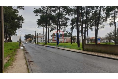 Helårsgrund i Quinta do Conde, Setubal, Quinta do Conde - € 119.500 | Ref: 1654 - foto 10