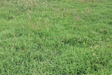 Helårsgrund i Penafiel, Porto, Penafiel - € 110.000 | Ref: C0478-00188 - foto 4