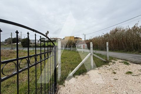 Tomt i Aveiro, Aveiro, Aveiro - € 30 000 | Ref: 1040848/26 BR - foto 2