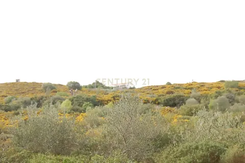 Helårsgrund i Alcabideche, Lisbon, Alcabideche - € 225.000 | Ref: 1356-01138 - foto 2