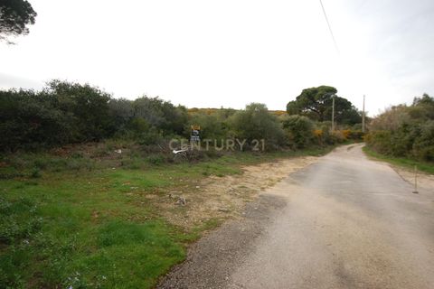 Helårsgrund i Alcabideche, Lisbon, Alcabideche - € 225.000 | Ref: 1356-01138 - foto 4