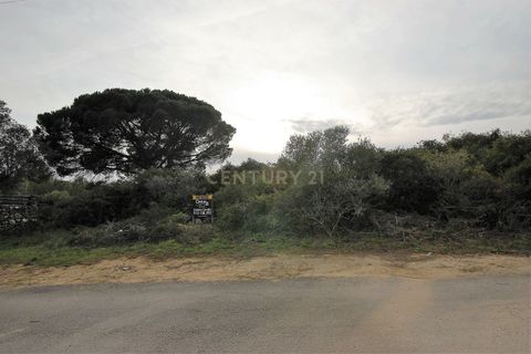 Helårsgrund i Alcabideche, Lisbon, Alcabideche - € 225.000 | Ref: 1356-01138 - foto 6