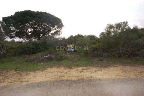 Helårsgrund i Alcabideche, Lisbon, Alcabideche - € 225.000 | Ref: 1356-01138 - foto 7