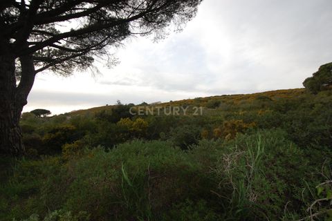 Helårsgrund i Alcabideche, Lisbon, Alcabideche - € 225.000 | Ref: 1356-01138 - foto 8